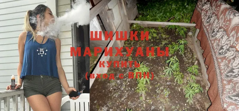 МАРИХУАНА SATIVA & INDICA  Кологрив 